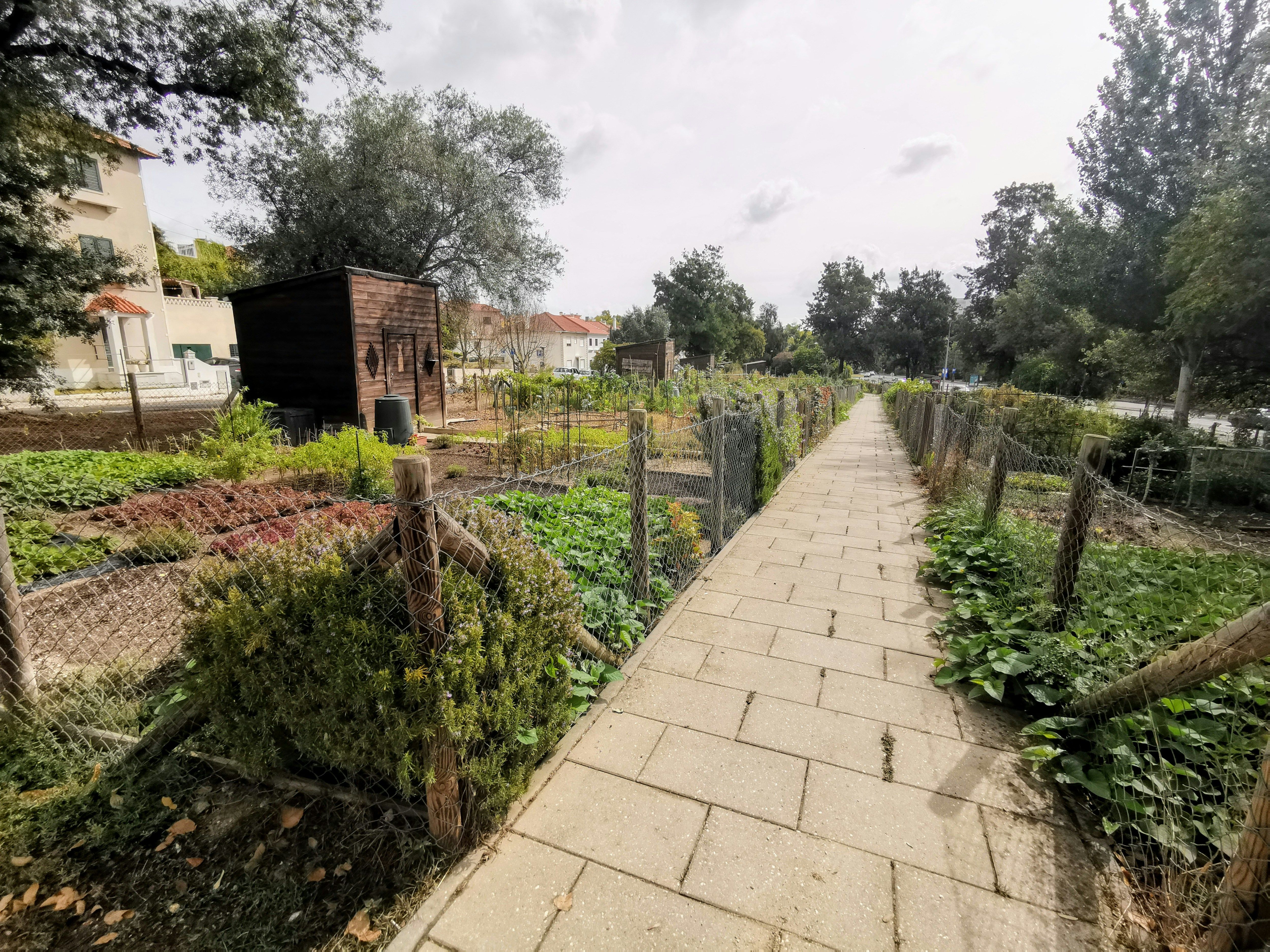 un vialetto di mattoni porta a un'area giardino